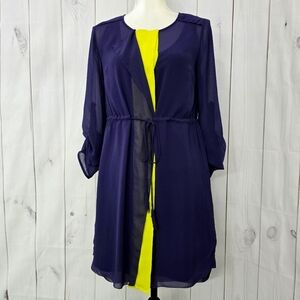 Isani Lavender and Lime Green Sheer Dress